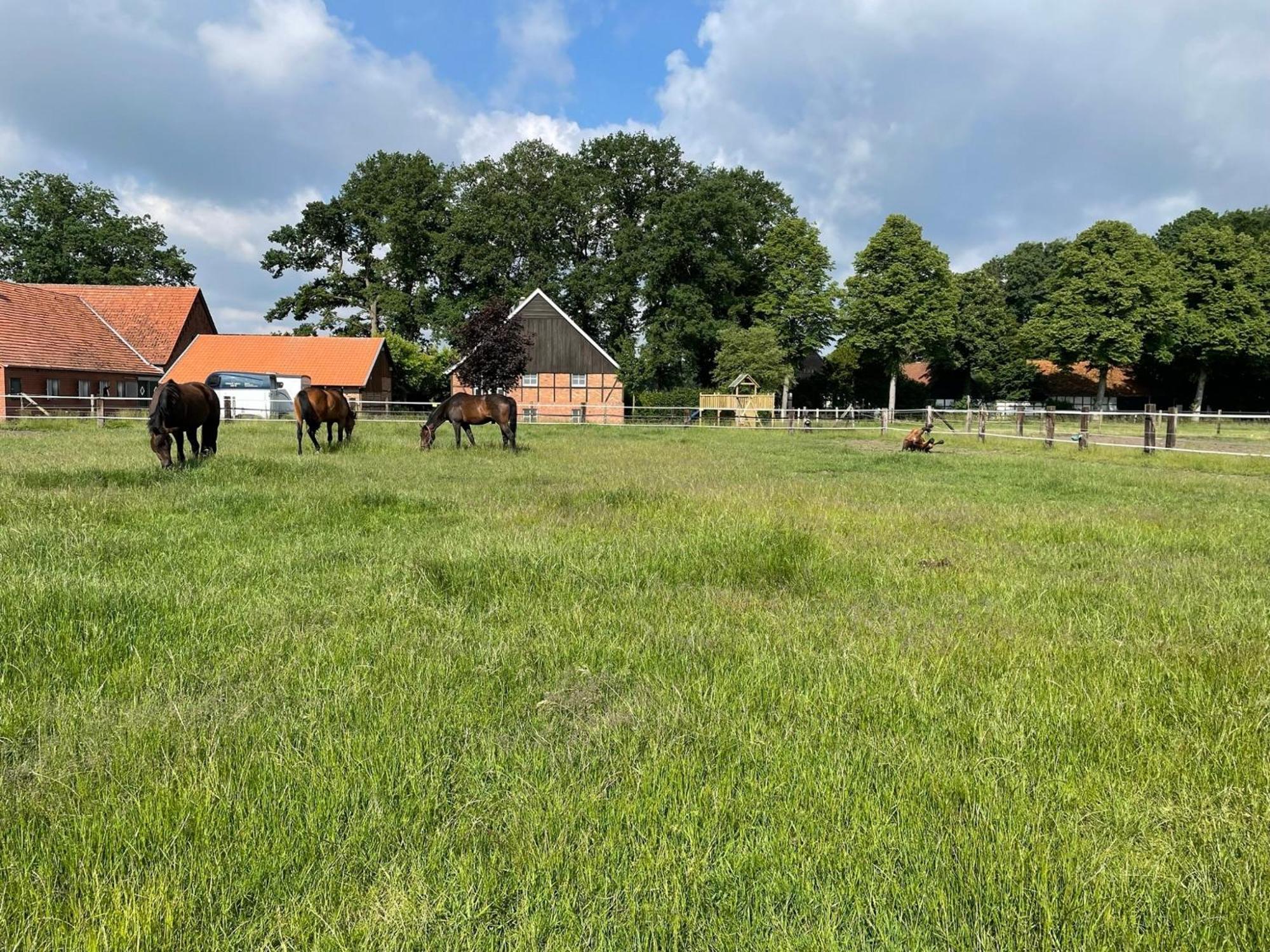 Landhaus Am Esch วาเรนดอร์ฟ ภายนอก รูปภาพ